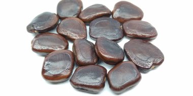 Beyaz arka planda demirhindi tohumu bir resim