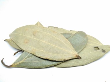 Defne yaprağının resmi beyaz bir arka plan üzerinde.