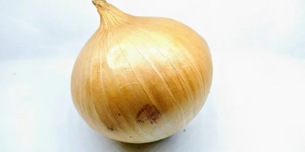 Picture Onion Isolated White Background — Φωτογραφία Αρχείου