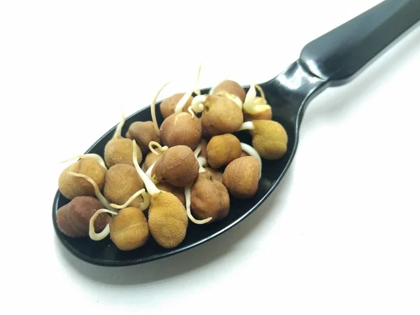 Siyah kaşıkta fidan nohut resmi