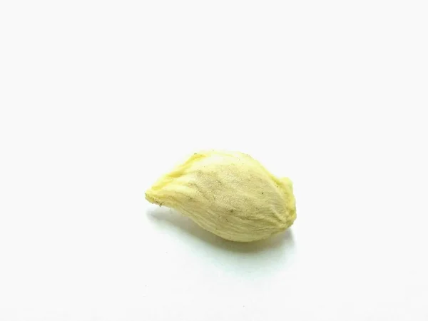 Ein Bild Von Samen Isoliert Auf Weißem Hintergrund — Stockfoto