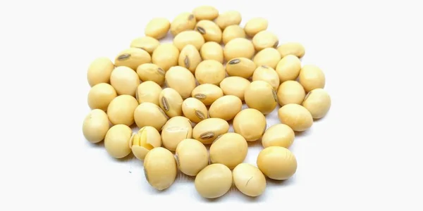 Picture Soybean Isolated White Background — Stock Photo, Image