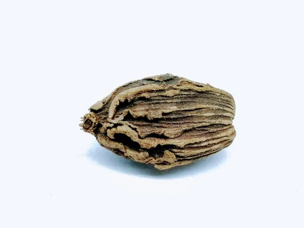 孤立在白色背景上的黑色小豆蔻的种子 — 图库照片