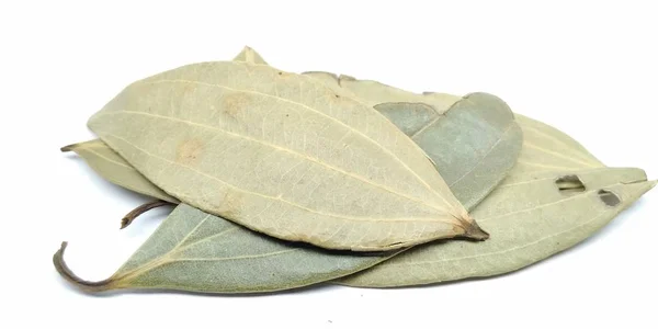 Picture Bay Leaf White Background — Stock Photo, Image