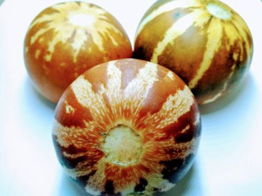 Beyaz bir arka plan üzerinde izole cucumis nasır bir resim