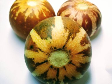 Beyaz arka plan üzerinde cucumis callosus bir resim