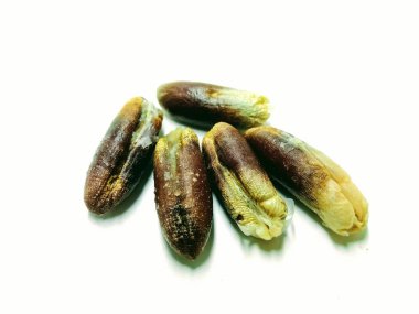 Beyaz arka planda izole edilmiş tarih tohumlarının resmi