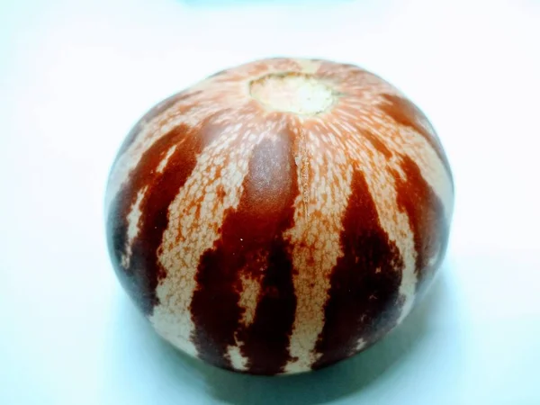 Sebuah Gambar Mentimis Callosus Melon Pada Latar Belakang Putih — Stok Foto