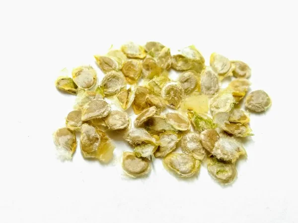 Beyaz arka planda domates tohumu resmi var.