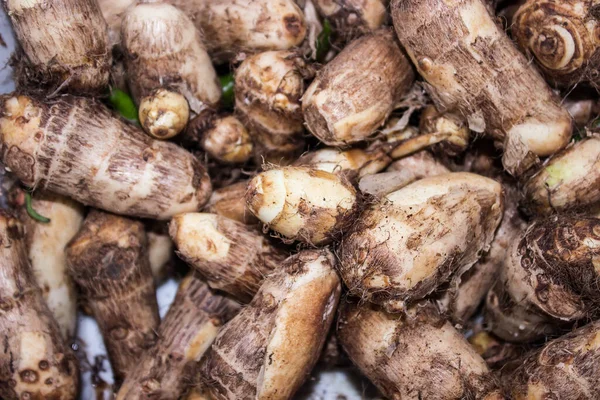 Beyaz Arkaplanda Taro Kökleri Resmi — Stok fotoğraf