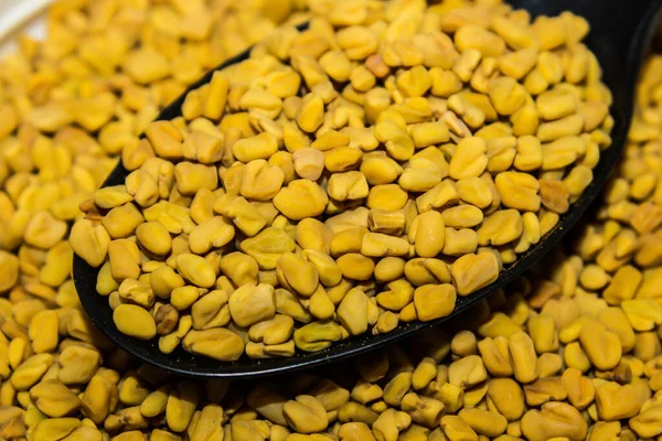 Çemen Yunanlının bir resmi