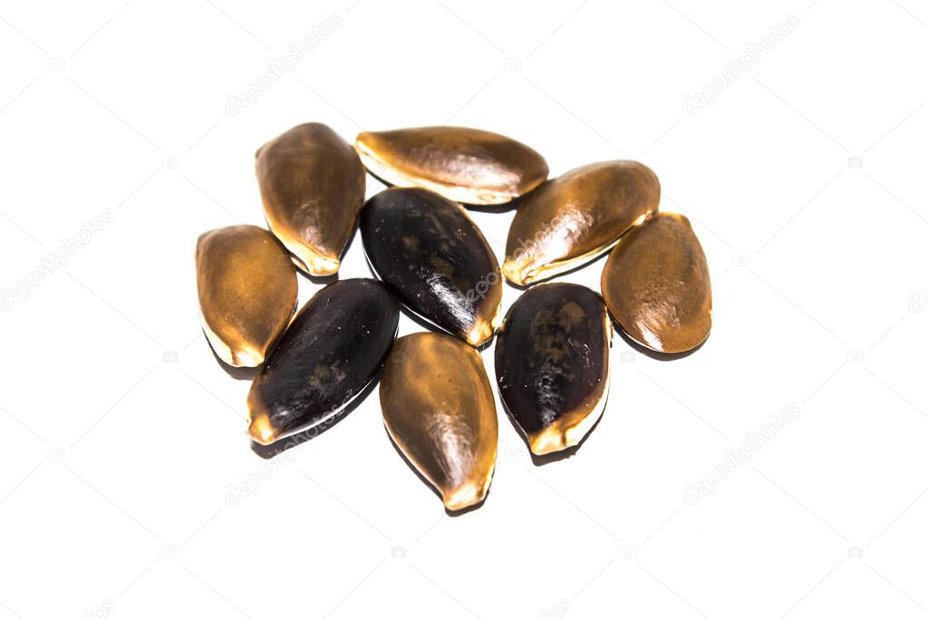 A picture of chikoo seeds 