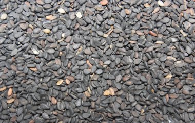 Siyah tohumların resmi.