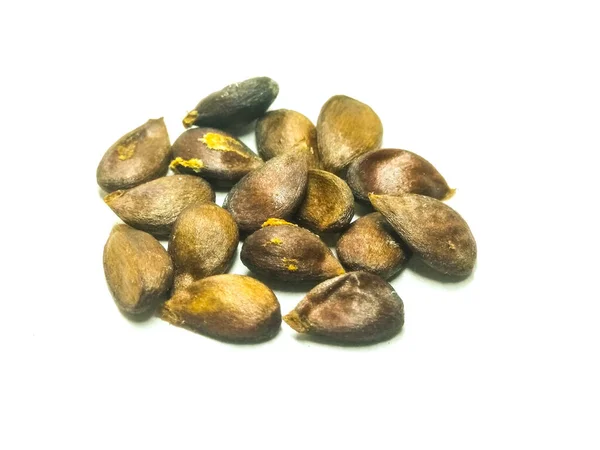 Picture Apple Seeds — Stock Photo, Image