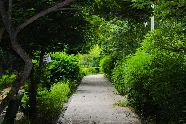 Quadro Strada Giardino — Foto Stock