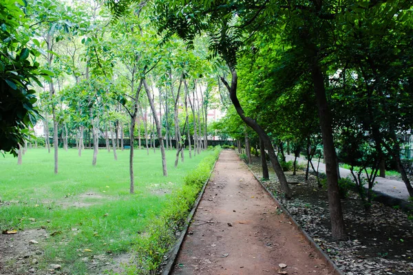 Una Imagen Del Camino Jardín — Foto de Stock