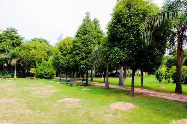 Una Foto Giardino — Foto Stock