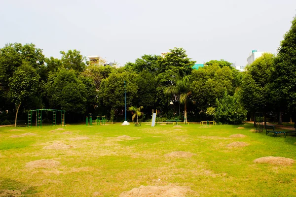 Una Foto Giardino — Foto Stock