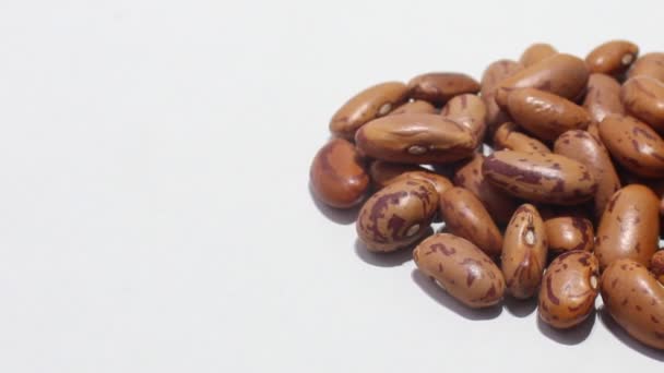 白い背景の赤い腎臓豆 — ストック動画