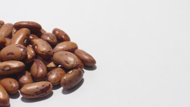 Red Kidney Beans White Background — Stock Video