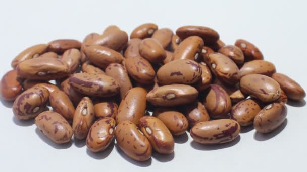 Red Kidney Beans White Background — Stock Video