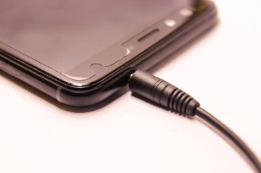 Ses krikosunun bir resmi 