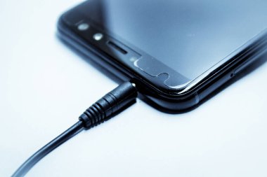 Ses krikosunun bir resmi 