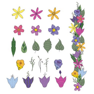 Çiçek Fırçası. Beyaz arka planda yalıtılmış öğeler