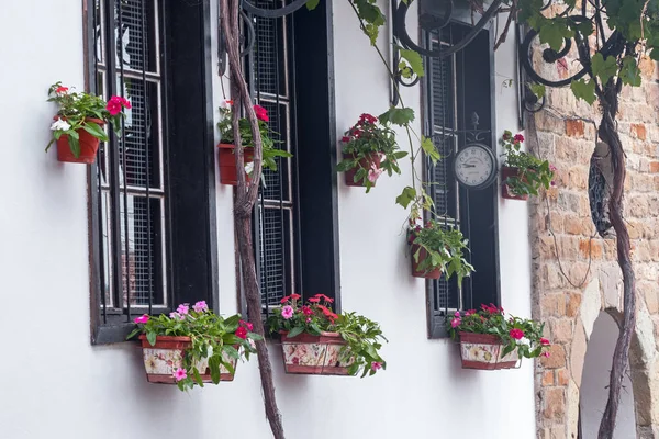Details of window with flowers in the historic center of Veliko Tarnovo, Bulgaria.