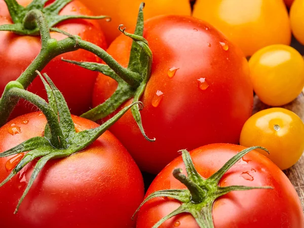 Ripe red and yellow tomatoes close up with green leaf and drops of water. — Stock Photo, Image