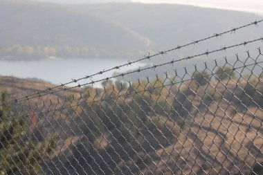 Beyaz kafes metal ağ Parktaki palmiye ağacının önünde