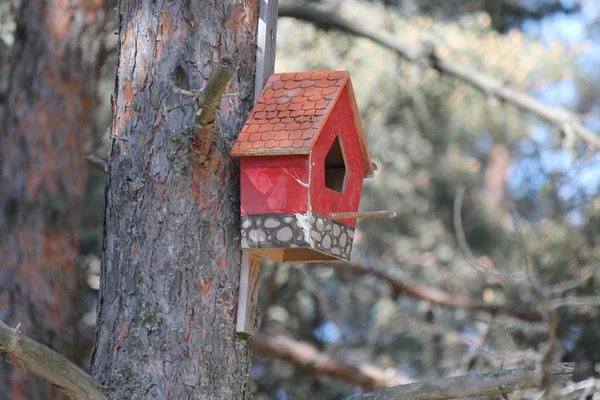 Birdhouse Árvore — Fotografia de Stock