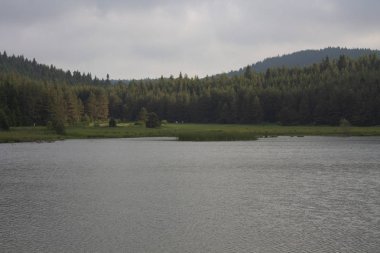 gökyüzü arka plan ile ağaç ve dağ ilandscape