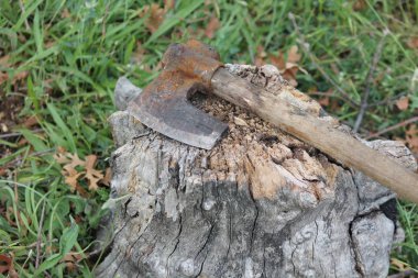 eski demir ahşap kesme balta