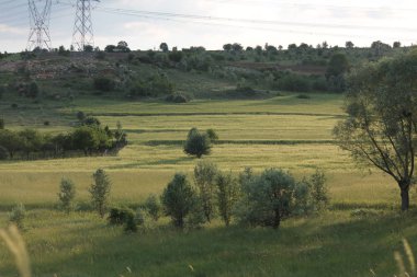 Mavi gökyüzü ile alan peyzaj fotoğraf