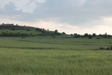 Mavi gökyüzü ile alan peyzaj fotoğraf