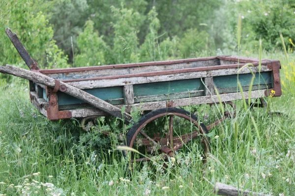 Old Wooden Wheelbarrow Garden Green Trees Background — Stock Photo, Image