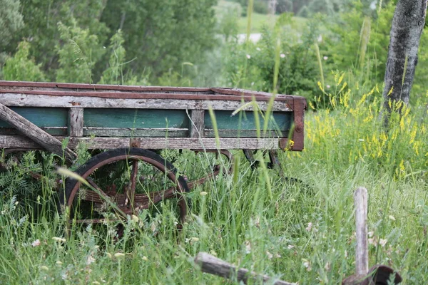 Old Wooden Wheelbarrow Garden Green Trees Background — Stock Photo, Image