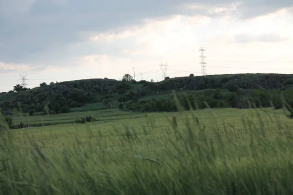 Zdjęcie Pola Lanscape Błękitnym Niebem — Zdjęcie stockowe