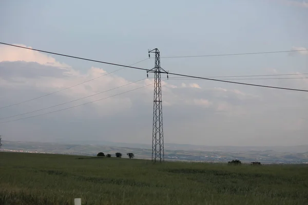 Feldaufnahme Mit Blauem Himmel — Stockfoto