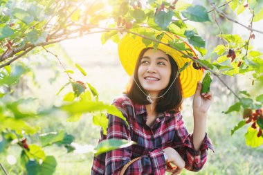 Güzel genç akıllı çiftçiler dut meyve toplama.
