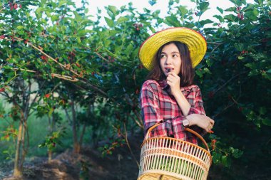 Güzel, genç, zeki çiftçiler dut meyvesi toplayıp yiyorlar.