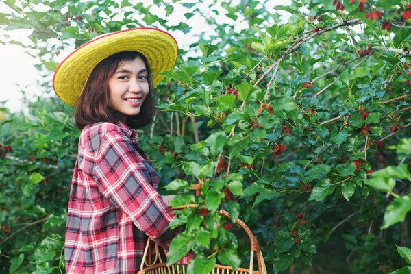 桑の果実を摘む美しい若いスマート農家. — ストック写真