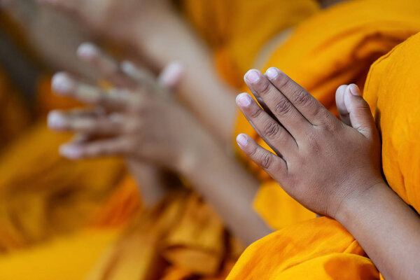 Praying Hands of boy monks amen buddhist for asian thanksgiving 
