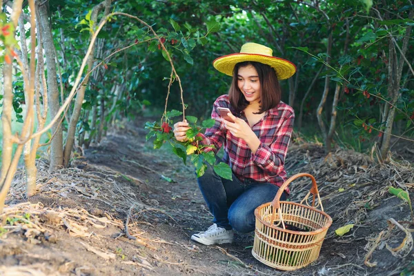 Las agricultoras toman fotos de los resultados de producción —  Fotos de Stock