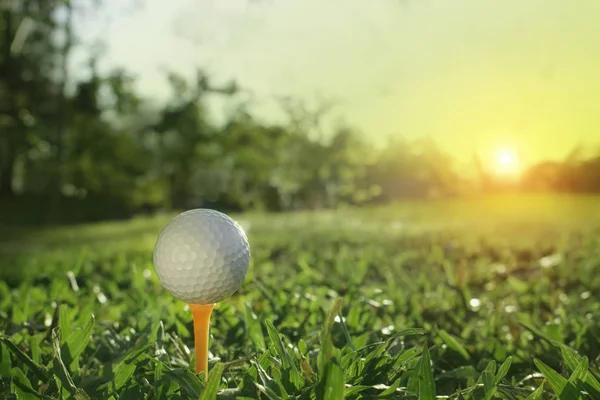 Golfový míč na odpalu v krásném golfovém hřišti s ranním sluncem — Stock fotografie