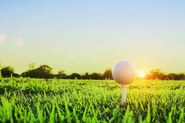 golf ball on tee in a beautiful golf course with morning sunshin