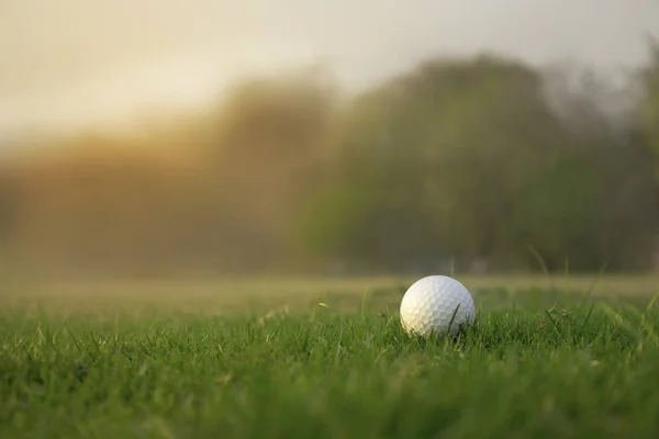 Golf ball is on a green lawn in a beautiful golf course — Stock Photo, Image