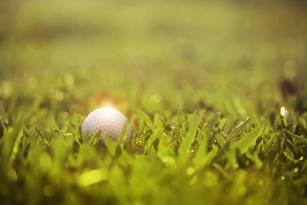 Bola de golfe está em um gramado verde em um belo campo de golfe — Fotografia de Stock