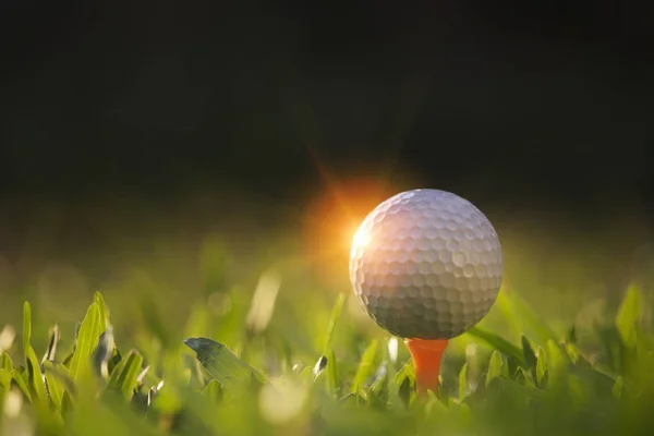 Piłka golfowa na tee w pięknym polu golfowym z porannym sunshin — Zdjęcie stockowe